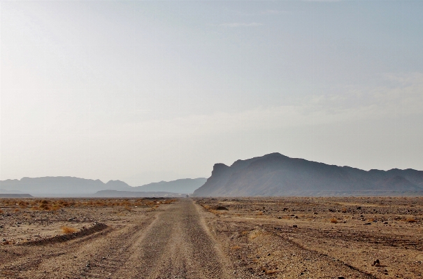 Landscape sea path sand Photo