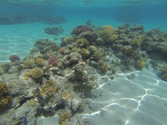 Sea ocean diving underwater Photo