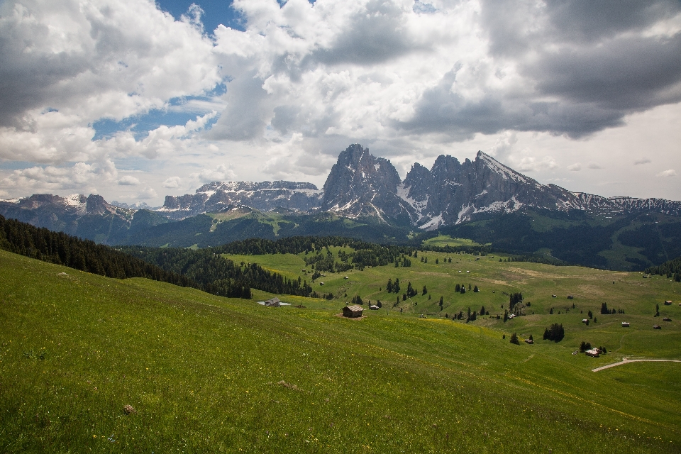 Paisagem natureza grama montanha