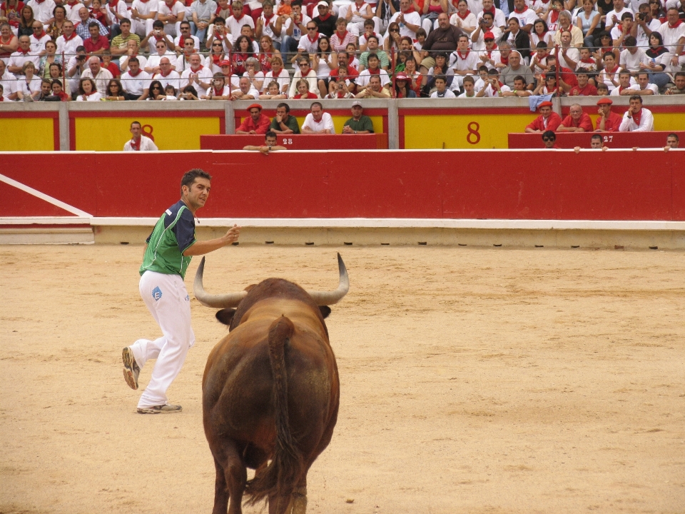 Touro esportes desempenho praça de touros
