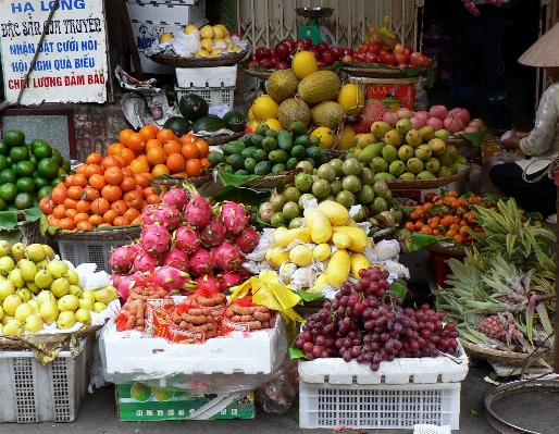 Plant fruit flower city Photo