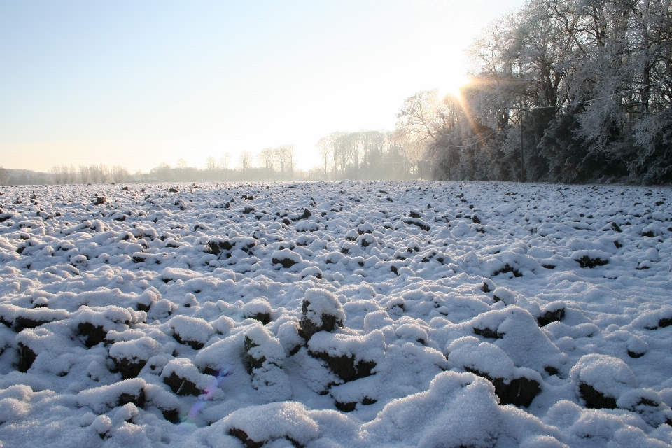 Paisaje nieve invierno suelo