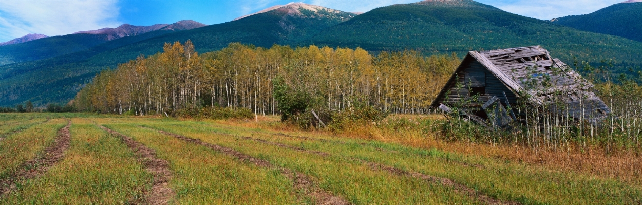 Wilderness mountain trail meadow Photo