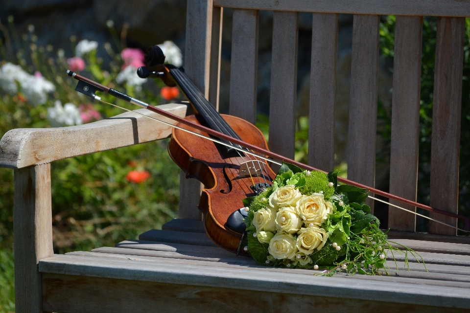 Flor verde violino floricultura
