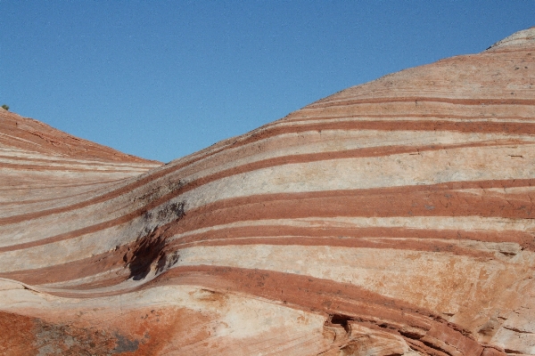 Landscape sand rock wood Photo