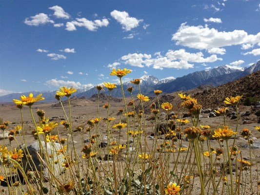 Landscape nature plant sky Photo