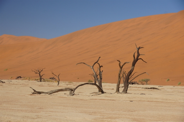 Landscape sand wilderness prairie Photo