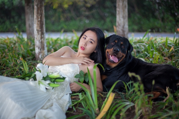 Foto Halaman rumput bunga anjing rambut panjang
