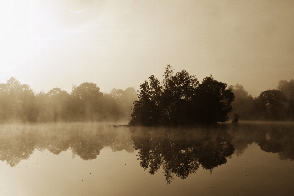 Landscape tree water nature Photo