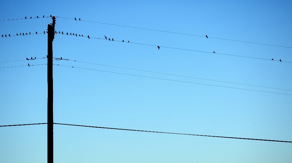 Light fence sky row