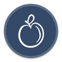 Apple Icon