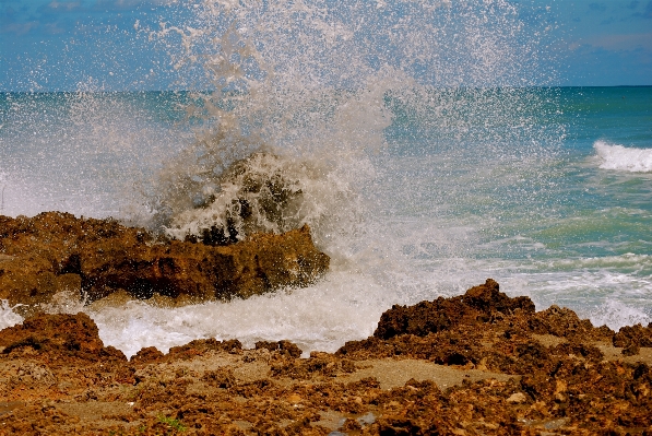 Beach sea coast water Photo