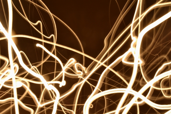 Branch light blur abstract Photo