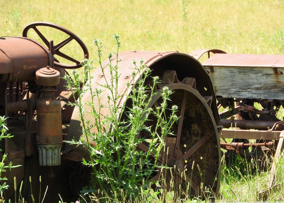 Grass tractor farm lawn