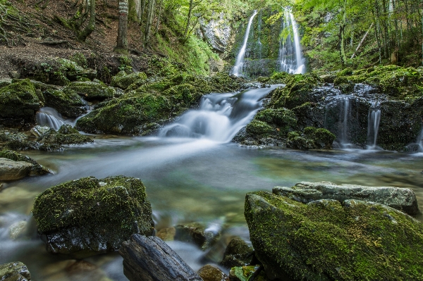 Landscape water nature forest Photo