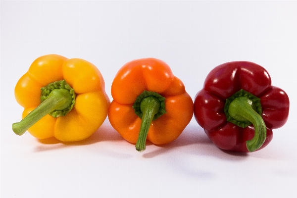 Plant fruit orange food Photo