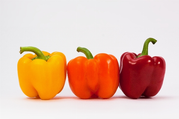 Plant fruit orange food Photo