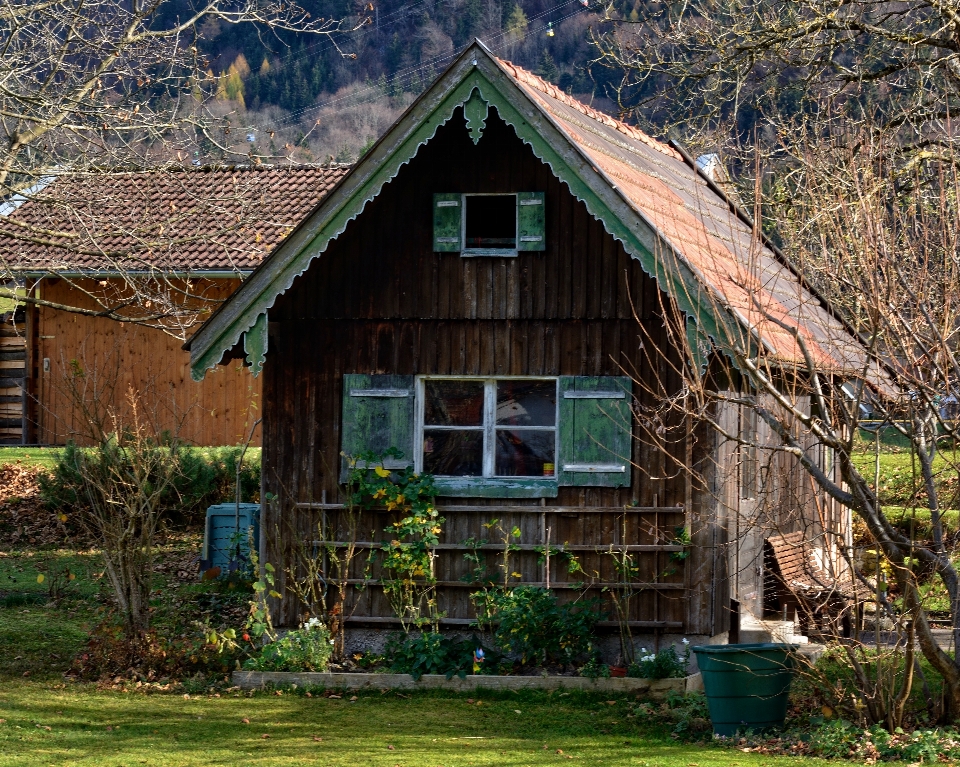 Baum bauernhof haus gebäude