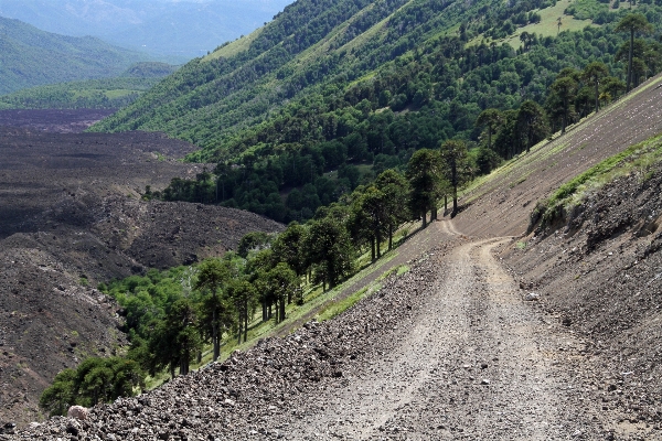 Nature walking mountain road Photo