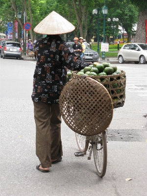 Cart bicycle pattern vehicle Photo