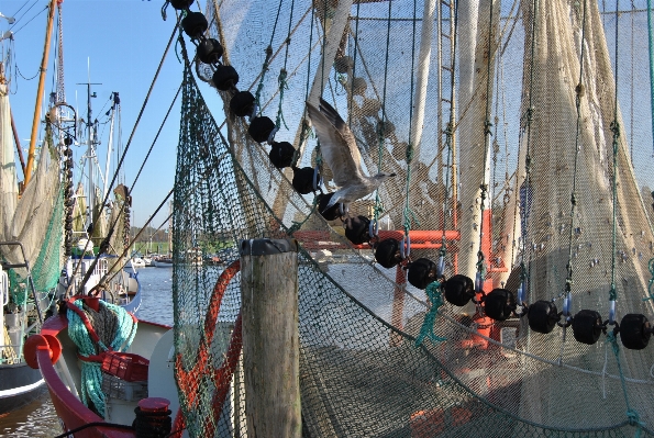 Foto Mar barco enviar gaivota