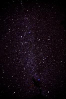 Sky night star milky way Photo