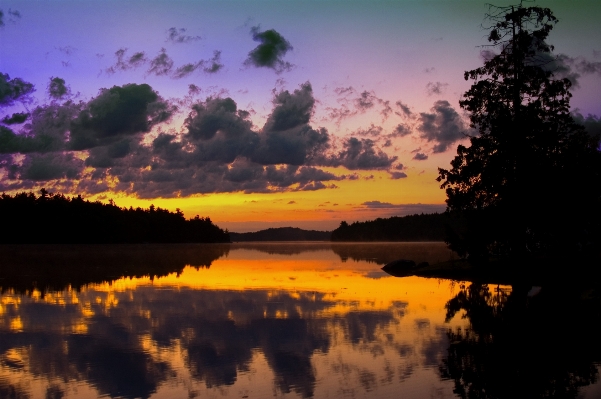 Landscape tree water nature Photo