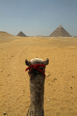 Landscape sand desert monument Photo