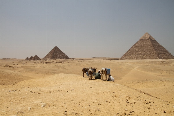 Landscape sand desert stone Photo