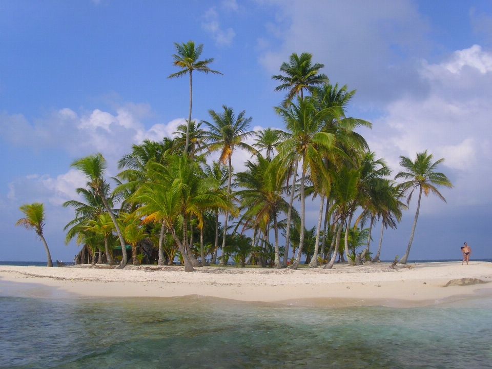 ビーチ 海 海岸 海洋