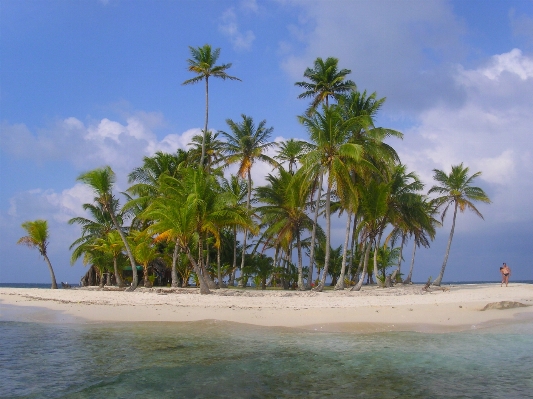 Beach sea coast ocean Photo