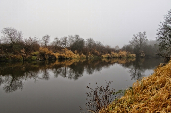 Landscape tree water nature Photo