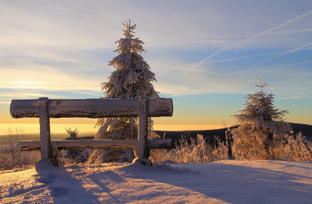 Landscape tree wilderness mountain Photo