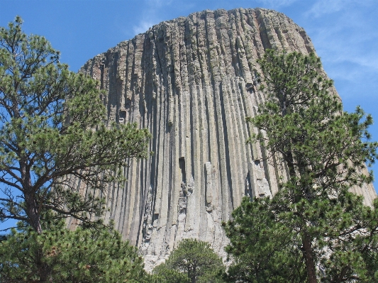 Tree rock mountain formation Photo