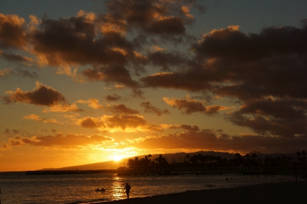 Beach sea coast ocean Photo