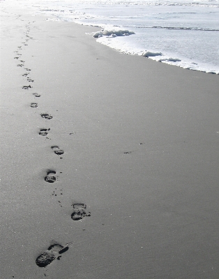 Foto Pantai laut pesisir air