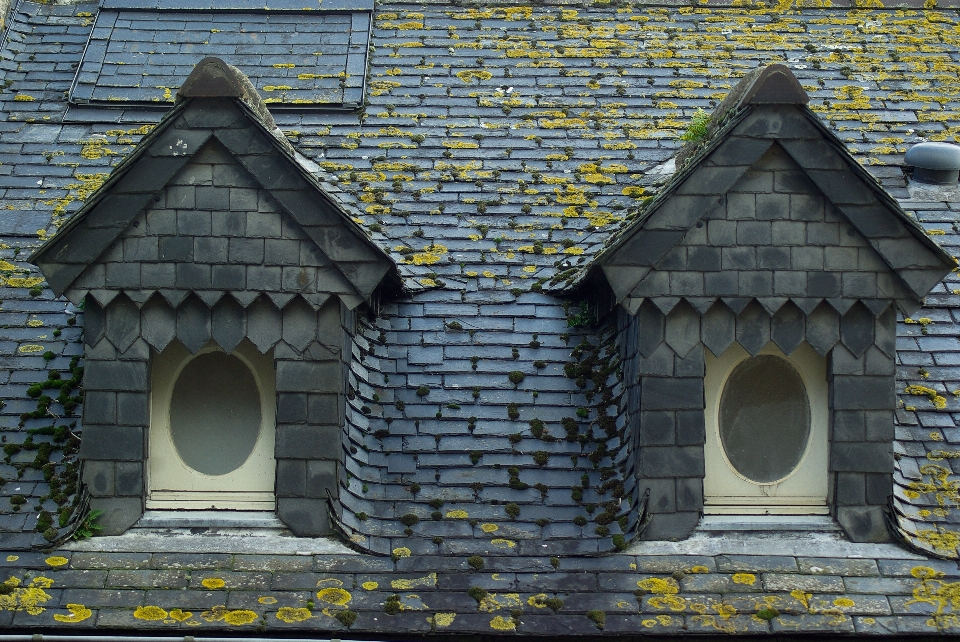 Architecture loger mur cambre