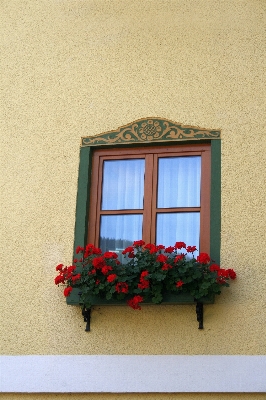 Foto Casa flor janela lar