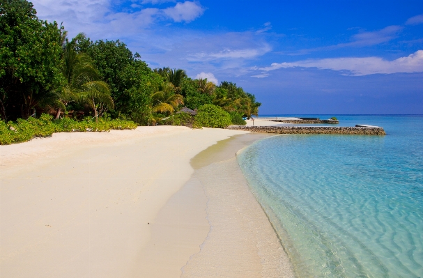 Beach sea coast sand Photo