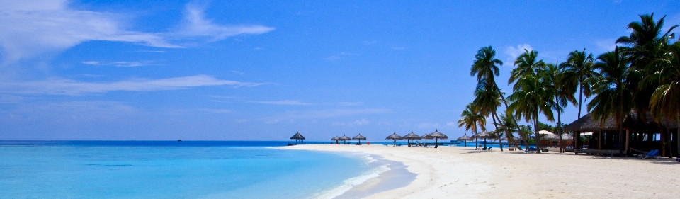 Strand meer küste weiss