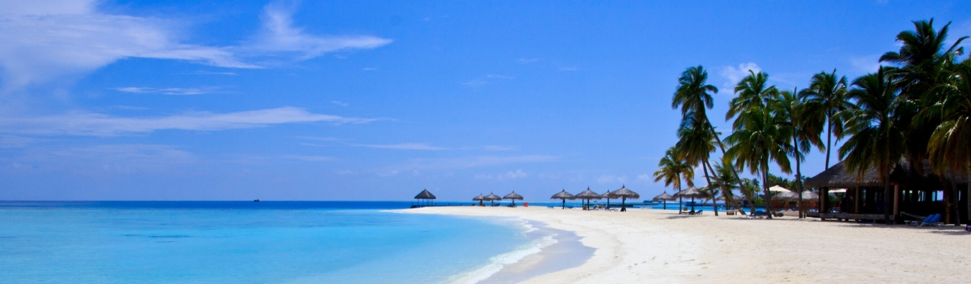 Beach sea coast white Photo