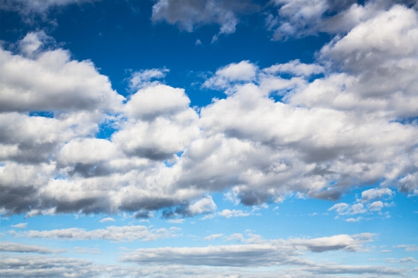 Sea horizon cloud sky Photo