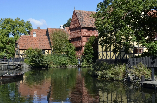 House flower building chateau Photo