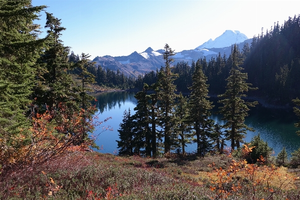 Landscape tree water nature Photo