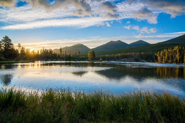 風景 木 水 自然 写真