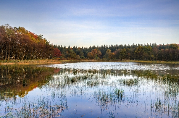 Landscape tree water nature Photo