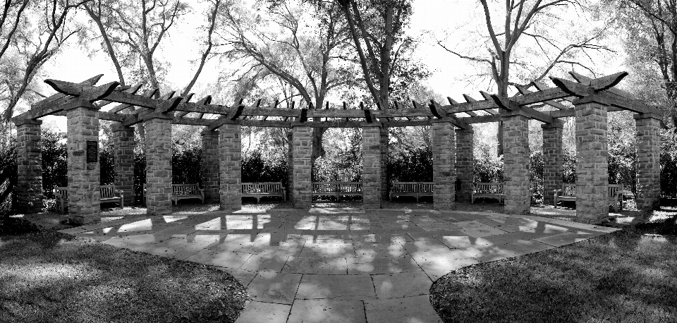 Arbre noir et blanc
 banc manoir
