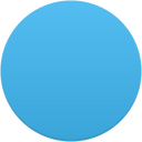 Circle Icon