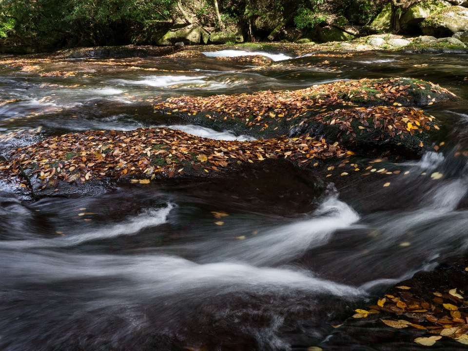 Water nature rock waterfall