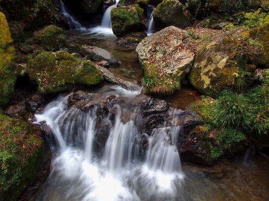 Landscape water nature waterfall Photo